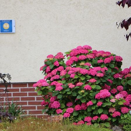 Ferienwohnung-Wieber Kappel-Grafenhausen Exteriör bild