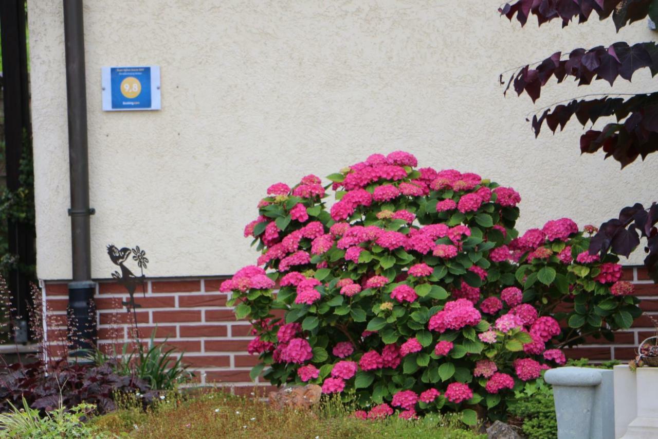 Ferienwohnung-Wieber Kappel-Grafenhausen Exteriör bild